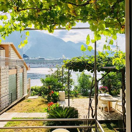 Studio Apartment Todorovic Kotor Exteriér fotografie