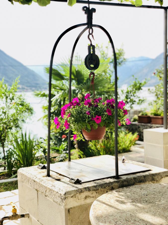 Studio Apartment Todorovic Kotor Exteriér fotografie